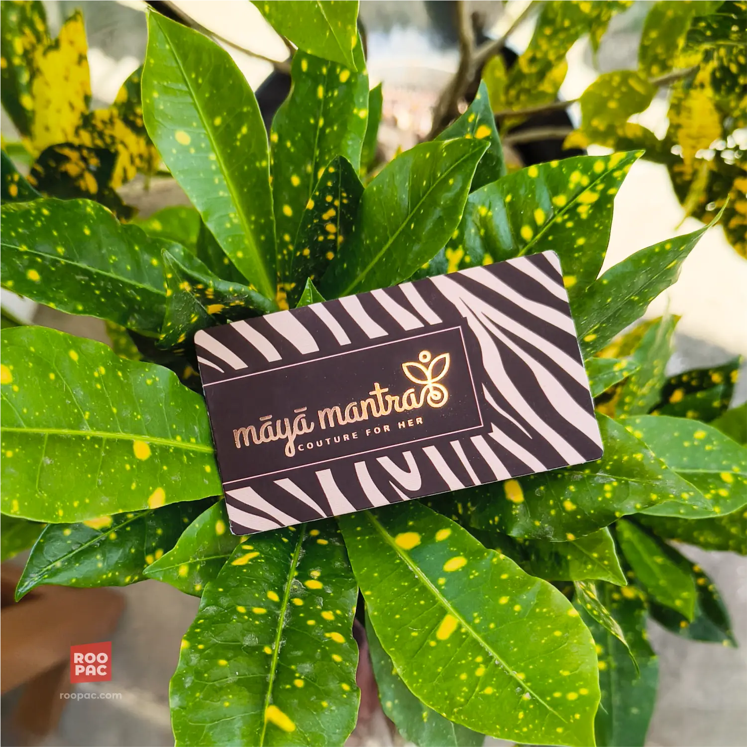 Business Card Signature